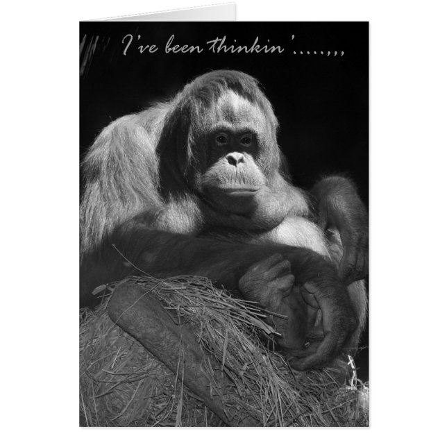 Ive Been Thinkin' (Voorkant)