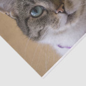 Ivey Tissuepapier (Detail)