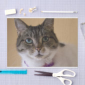 Ivey Tissuepapier (Craft)