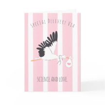 IVF Baby Stork’s Special Delivery Wenskaart