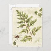 Ivies & Ferns Briefkaart (Voorkant / Achterkant)