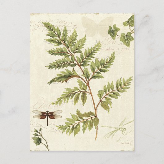 Ivies & Ferns Briefkaart (Voorkant)