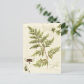 Ivies & Ferns Briefkaart (Staand voorkant)