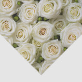 Ivoor Rozen tissuepapier (Detail)