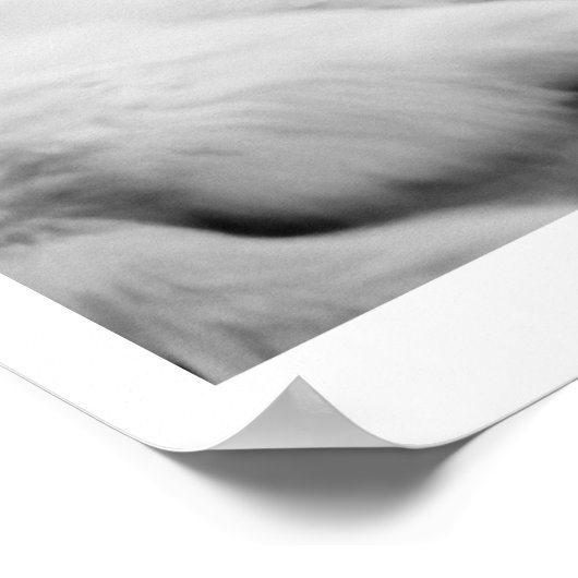 ivoorwolfskool | Wolven en een auto Poster (Hoek)