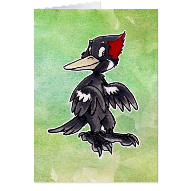 Ivory-Billing Woodpecker (Voorkant)