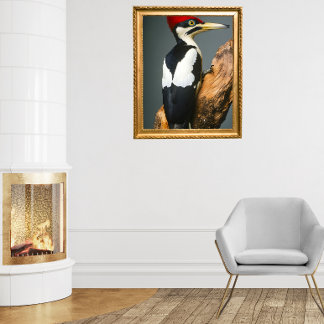 Ivory-billing Woodpecker Poster