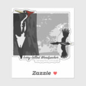 Ivory-billing Woodpecker Sticker (Vel)