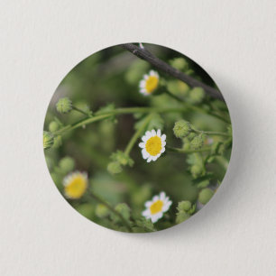Ivory Desert Rock Daisy Wildbloemen Coachella Butt Ronde Button 5,7 Cm