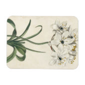 Ivory Garden Magneet (Horizontaal)