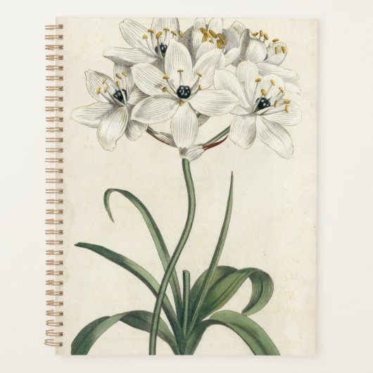 Ivory Garden Planner (Voorkant)