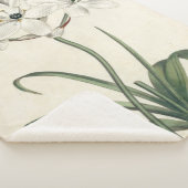 Ivory Garden Sherpa Deken (3/4)