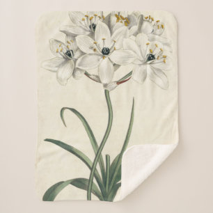 Ivory Garden Sherpa Deken