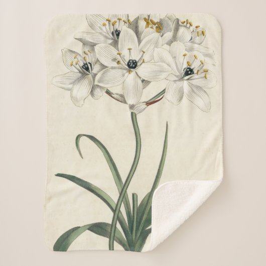 Ivory Garden Sherpa Deken (Voorkant)