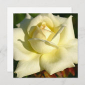 Ivory Roos Uitnodiging (Voorkant / Achterkant)