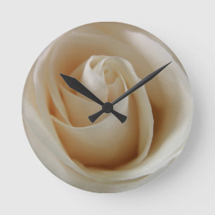 Ivory White Rose Flower Floral foto Ronde Klok