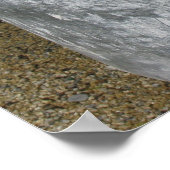 Ivory Zinnias Poster (Hoek)