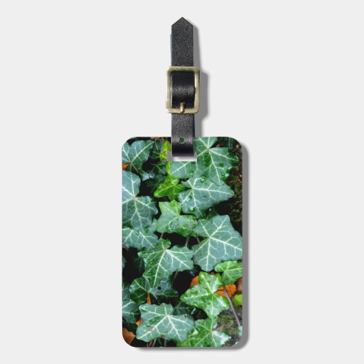Ivy and field stone bagagelabel (Voorkant verticaal)