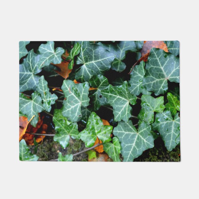 Ivy and field stone deurmat (Voorkant)