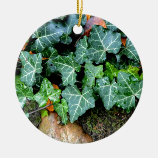 Ivy and field stone keramisch ornament (Voorkant)