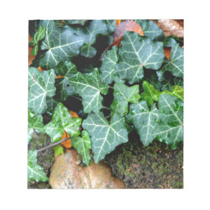 Ivy and field stone notitieblok