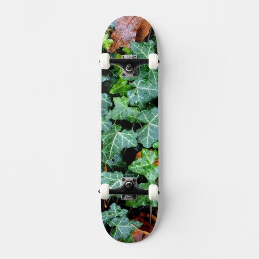 Ivy and field stone skateboard (Voorkant)