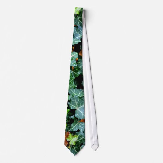 Ivy and field stone stropdas (Voorkant)