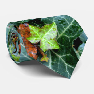 Ivy and field stone stropdas