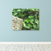 Ivy and Lichens - Martha's Vineyard Canvas Afdruk (Insitu (Houten vloer))