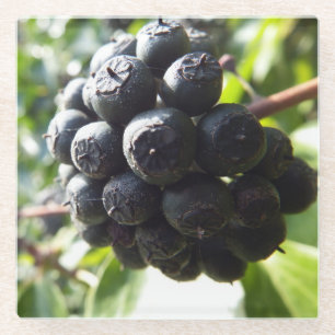 Ivy Berries Glass Onderzetter