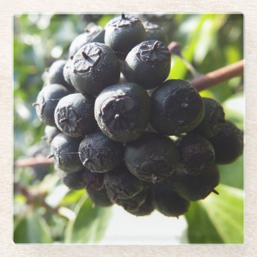 Ivy Berries Glass Onderzetter (Voorkant)