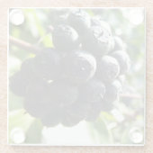 Ivy Berries Glass Onderzetter (Achterkant)