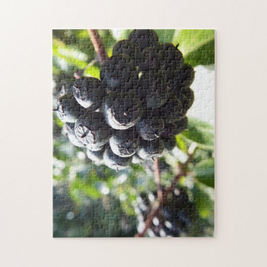 Ivy Berries Puzzle (Vertical)
