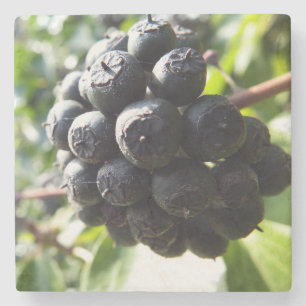 Ivy Berries Stone Onderzetter