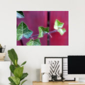 Ivy bladeren poster (Thuiskantoor)