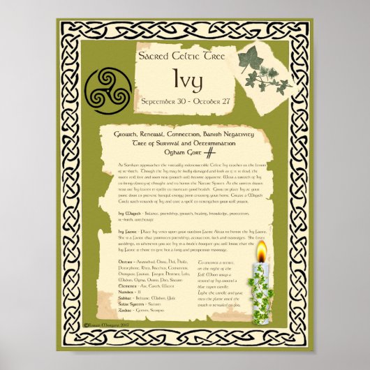 IVY CELTIC SACRED TREE POSTER (Voorkant)