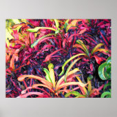 Ivy coloré - Poster (Devant)