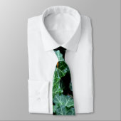Ivy et cravate de pierre de terrain (Attaché)