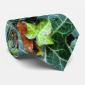 Ivy et cravate de pierre de terrain (Roulé)