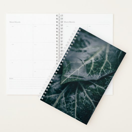 Ivy Feuille Nature Photo (Devant avec enveloppe)