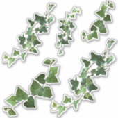 Ivy Gevarieerde en Engelse Ivy Vines en bladeren Sticker (Voorkant)