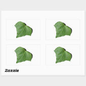 Ivy Leaf Rechthoekige Sticker (Vel)