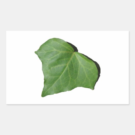 Ivy Leaf Rechthoekige Sticker (Voorkant)