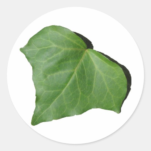 Ivy Leaf Ronde Sticker (Voorkant)