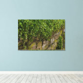 Ivy-muur Canvas Afdruk (Insitu (Houten vloer))