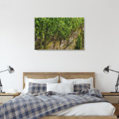 Ivy-muur Canvas Afdruk (Insitu (Slaapkamer))