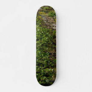 Ivy-muur Skateboard