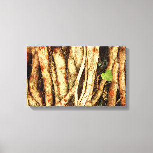 Ivy op eik canvas afdruk