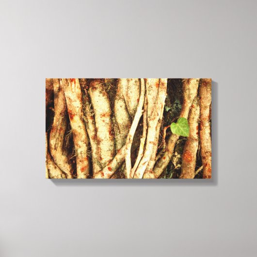 Ivy op eik canvas afdruk (Voorkant)