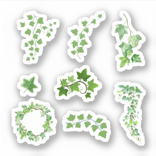 Ivy Stickers (Voorkant)